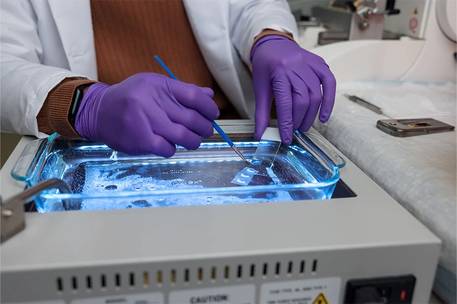 A lab worker rinses a microscope slide in a chemical bath.