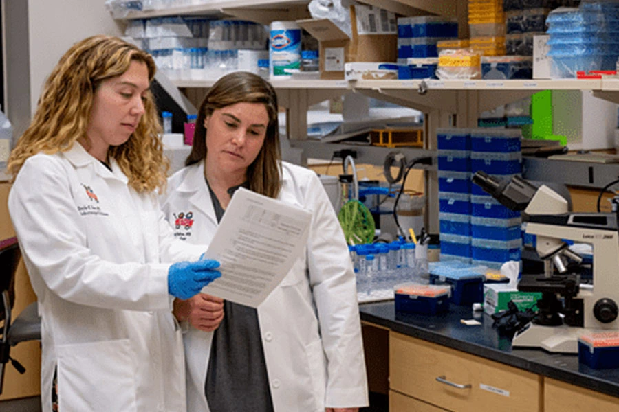 Two researchers in a lab look over a printout of results.